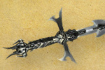Diablo3_Quinquennial_sword_Transmog_15_Ingame_Sword_th